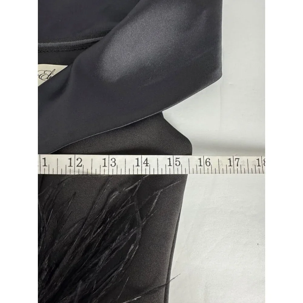 Eliza J Black Formal Gown Size 4 Feather Beading Elegant Black Tie Collar Party